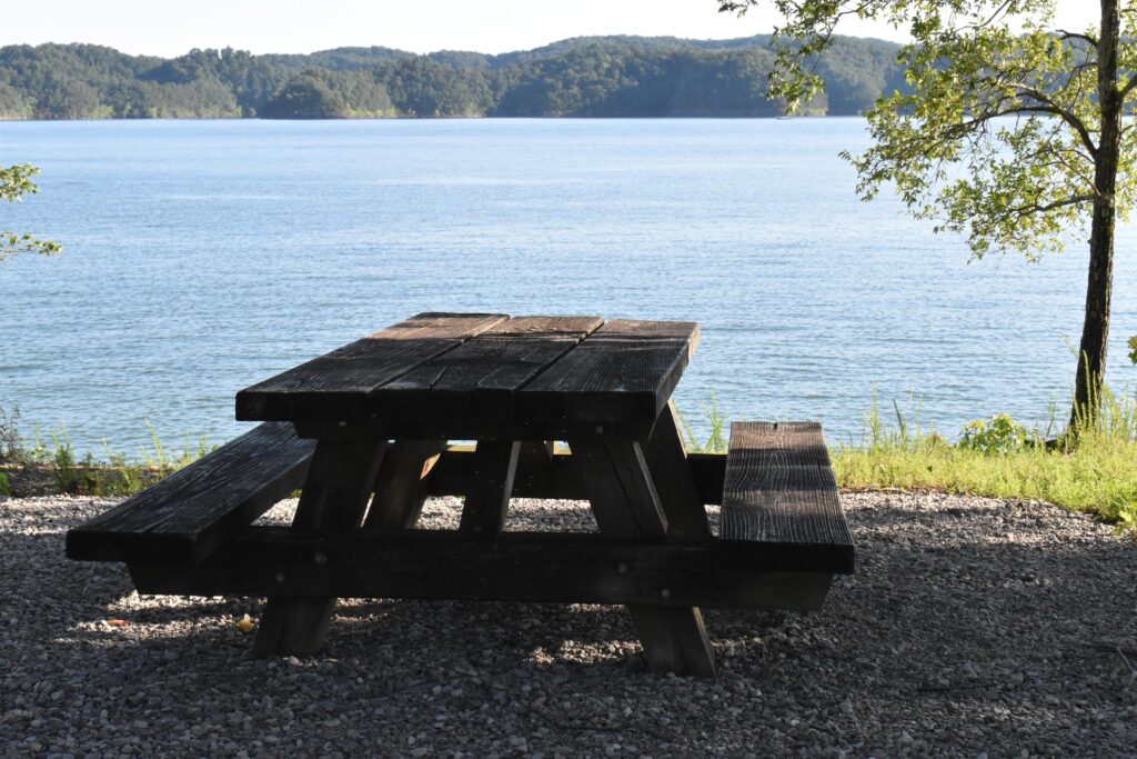 budget friendly summer holiday activities to book now
